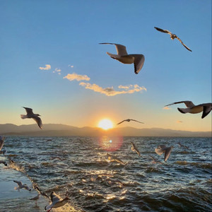 第四色中文综合网
